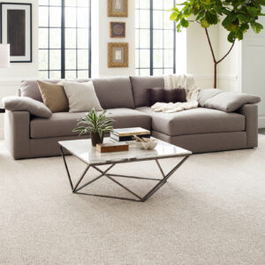 Living room flooring | Carpeteria