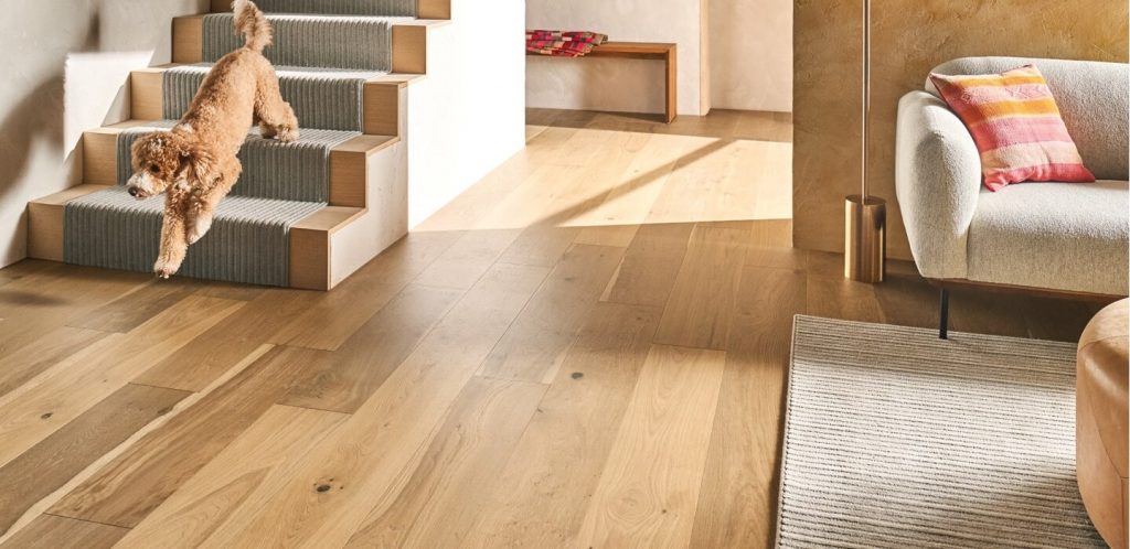 Hardwood flooring | Carpeteria
