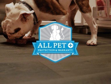 all pet warranty | Carpeteria