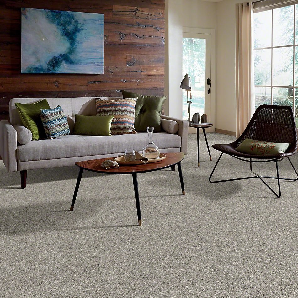 Grey Carpet flooring | Carpeteria