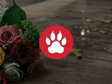 imgi_29_maximum-scratch